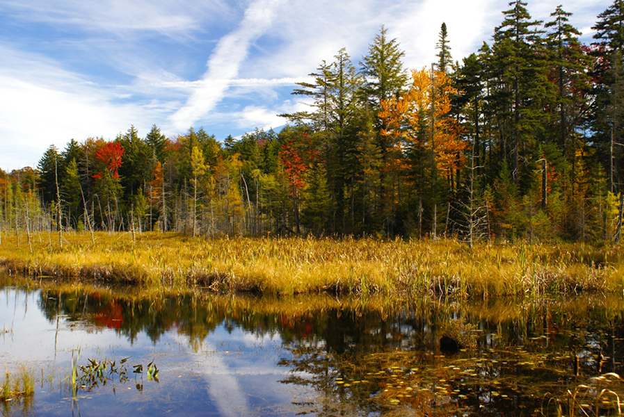 Adirondack Autumn Stripe